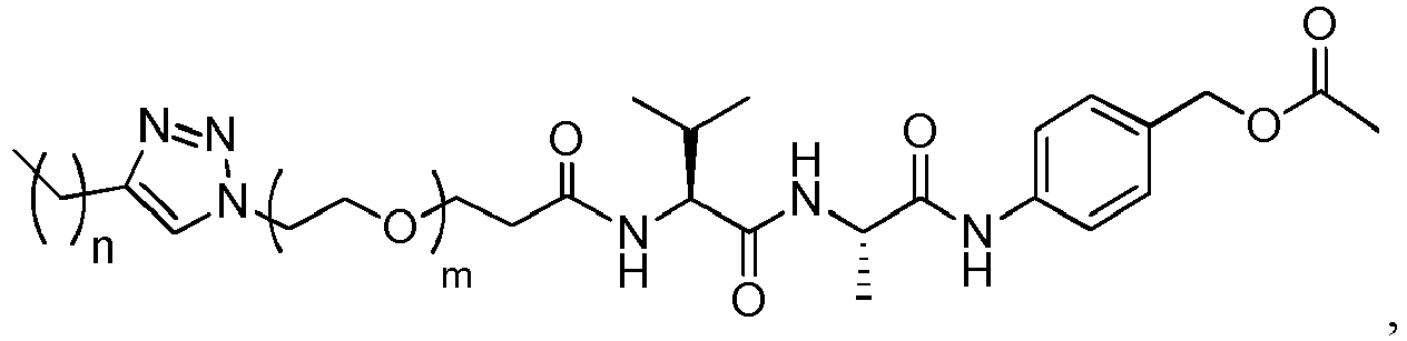 Figure imgb0048