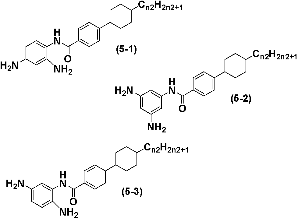 Figure JPOXMLDOC01-appb-C000013