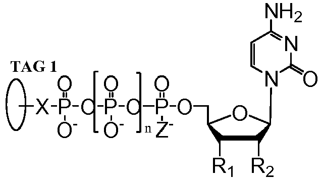 Figure imgb0042