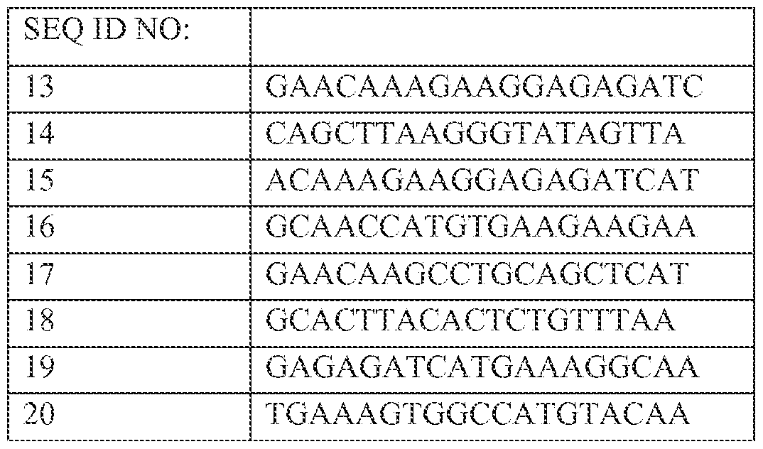 Figure imgf000053_0001