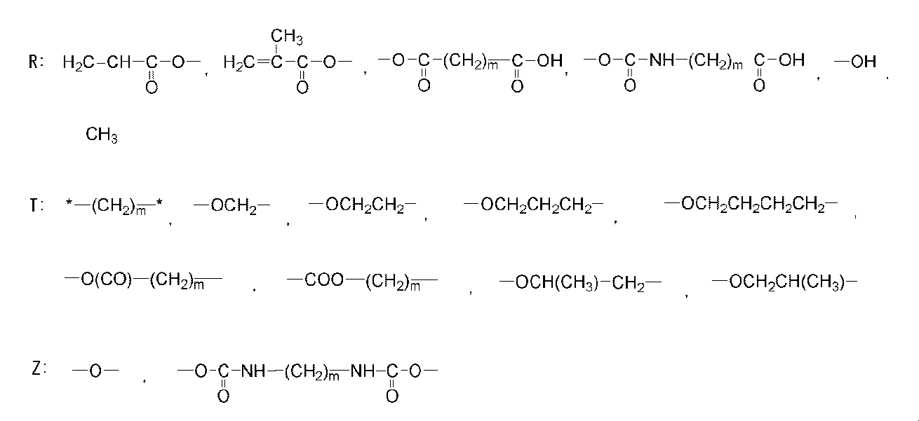 Figure JPOXMLDOC01-appb-C000085