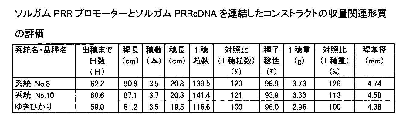 Figure JPOXMLDOC01-appb-T000015