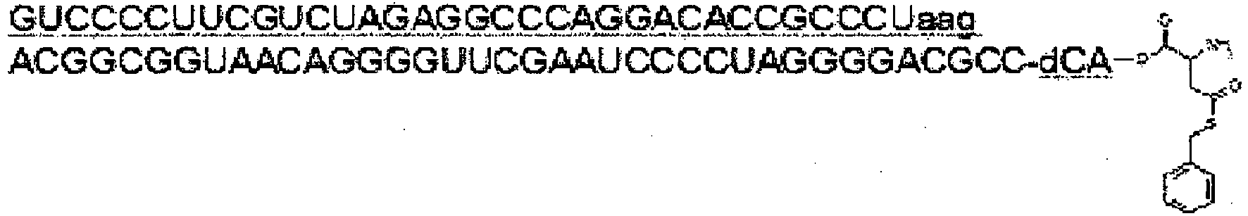 Figure imgb0988