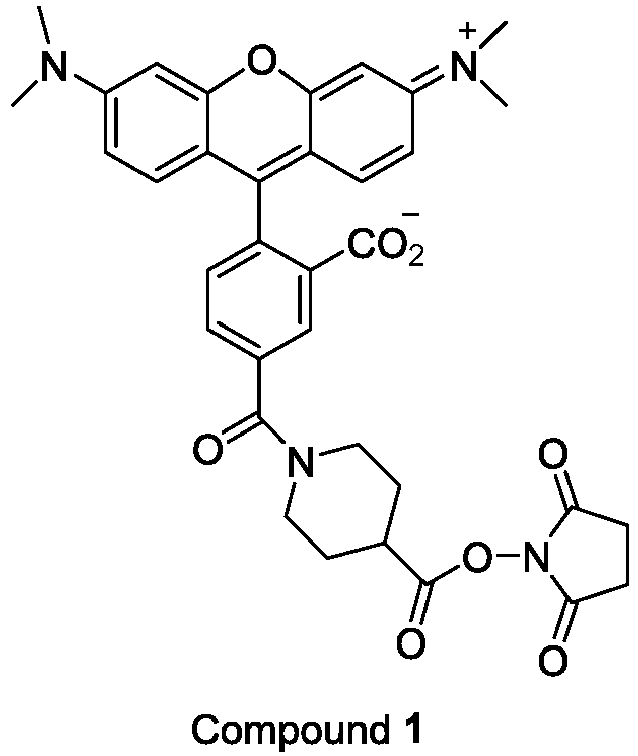 Figure imgb0033