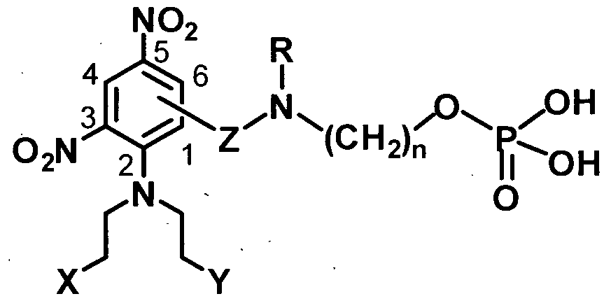 Figure imgf000064_0002