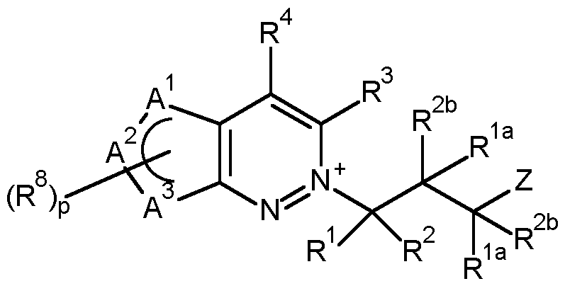 Figure imgf000011_0002