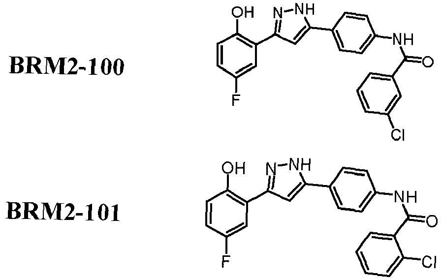 Figure imgb0069