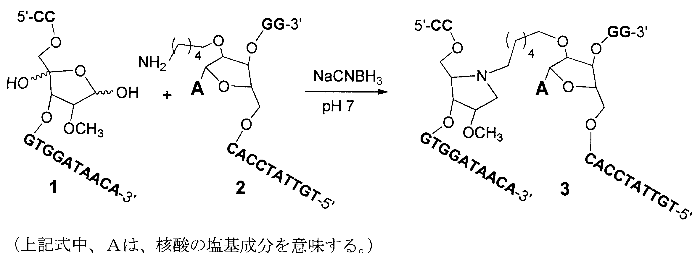 Figure JPOXMLDOC01-appb-C000036