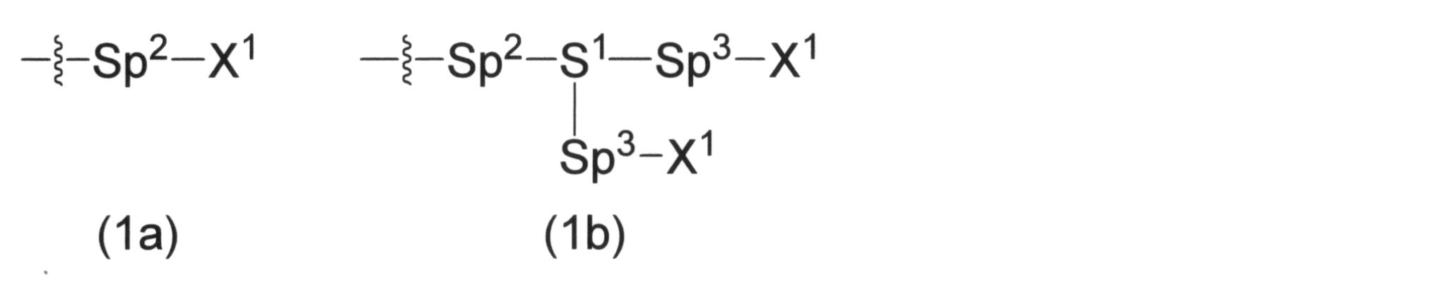 Figure JPOXMLDOC01-appb-C000005