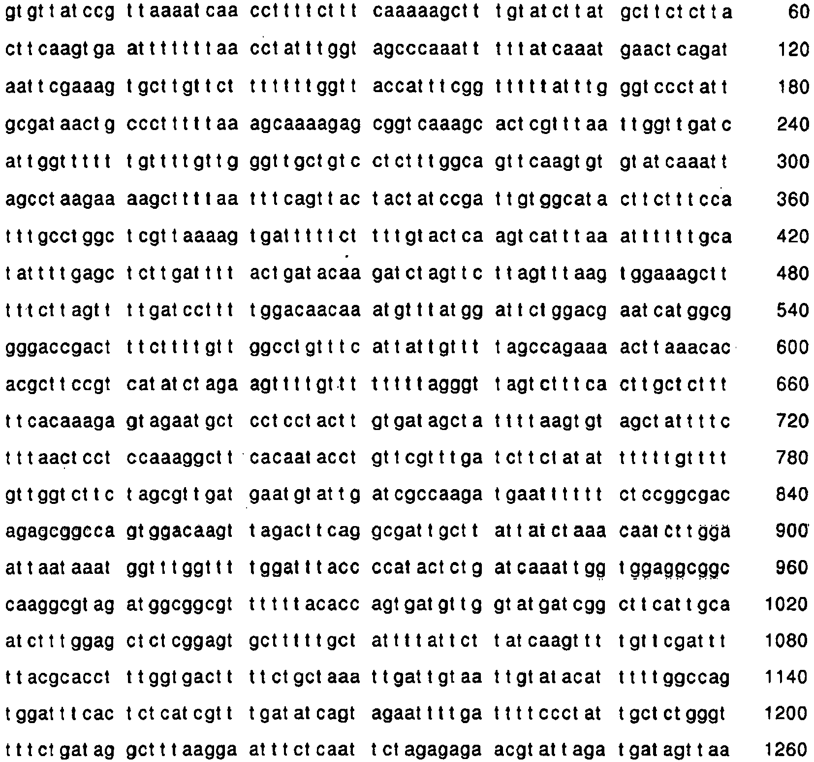 Figure imgb0019