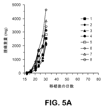 Jpa 免疫治療投与レジメンおよびその組合せ Google Patents