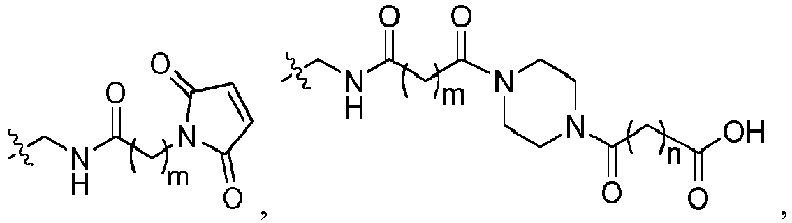 Figure imgb0045