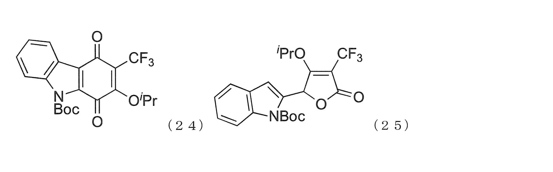 Figure JPOXMLDOC01-appb-C000113