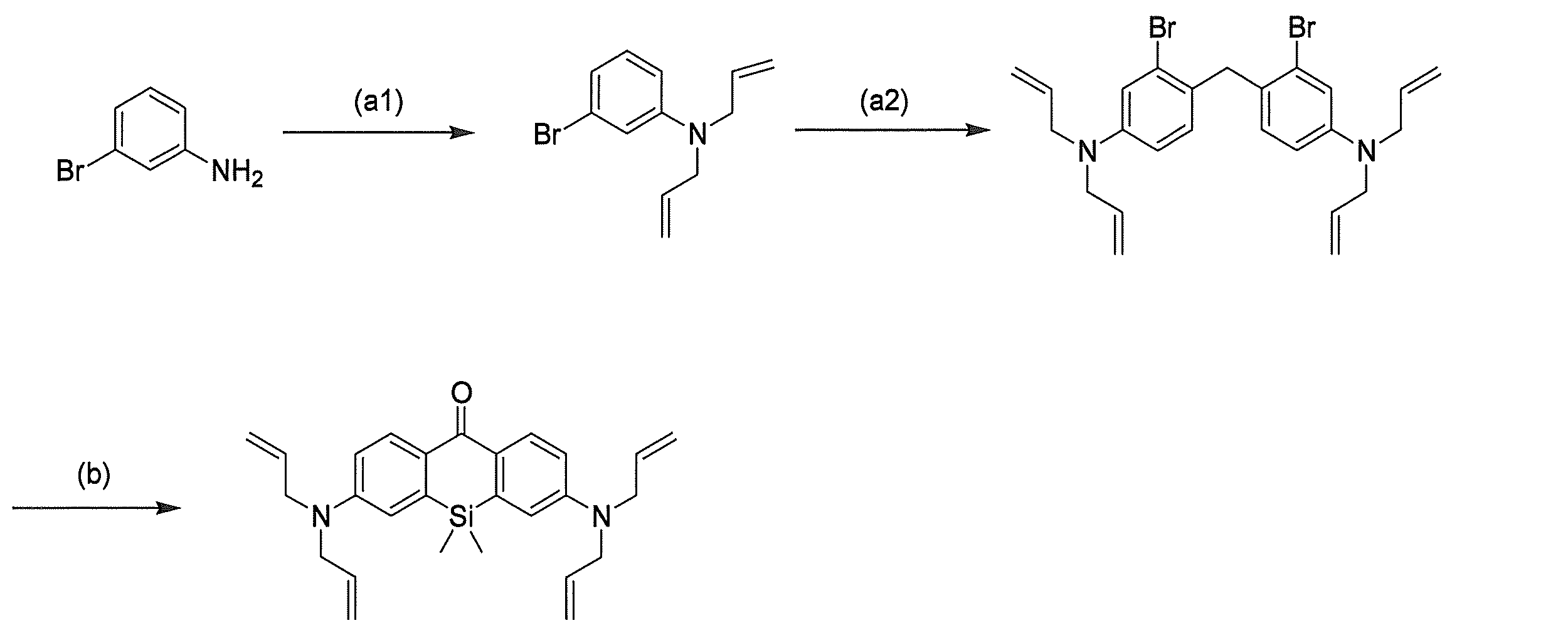 Figure JPOXMLDOC01-appb-C000024