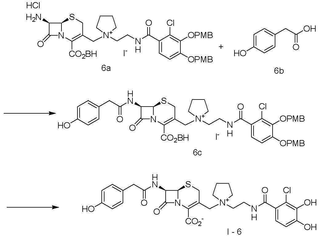 Figure JPOXMLDOC01-appb-C000079