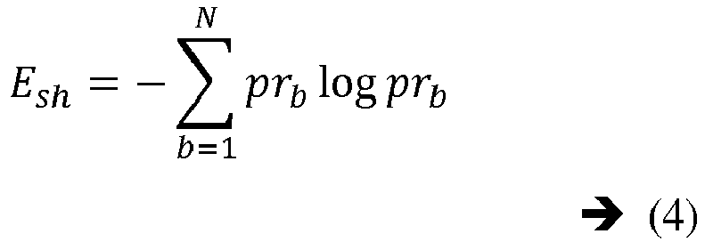 Figure imgb0004