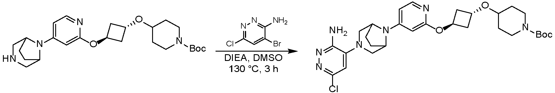 Figure imgb1019