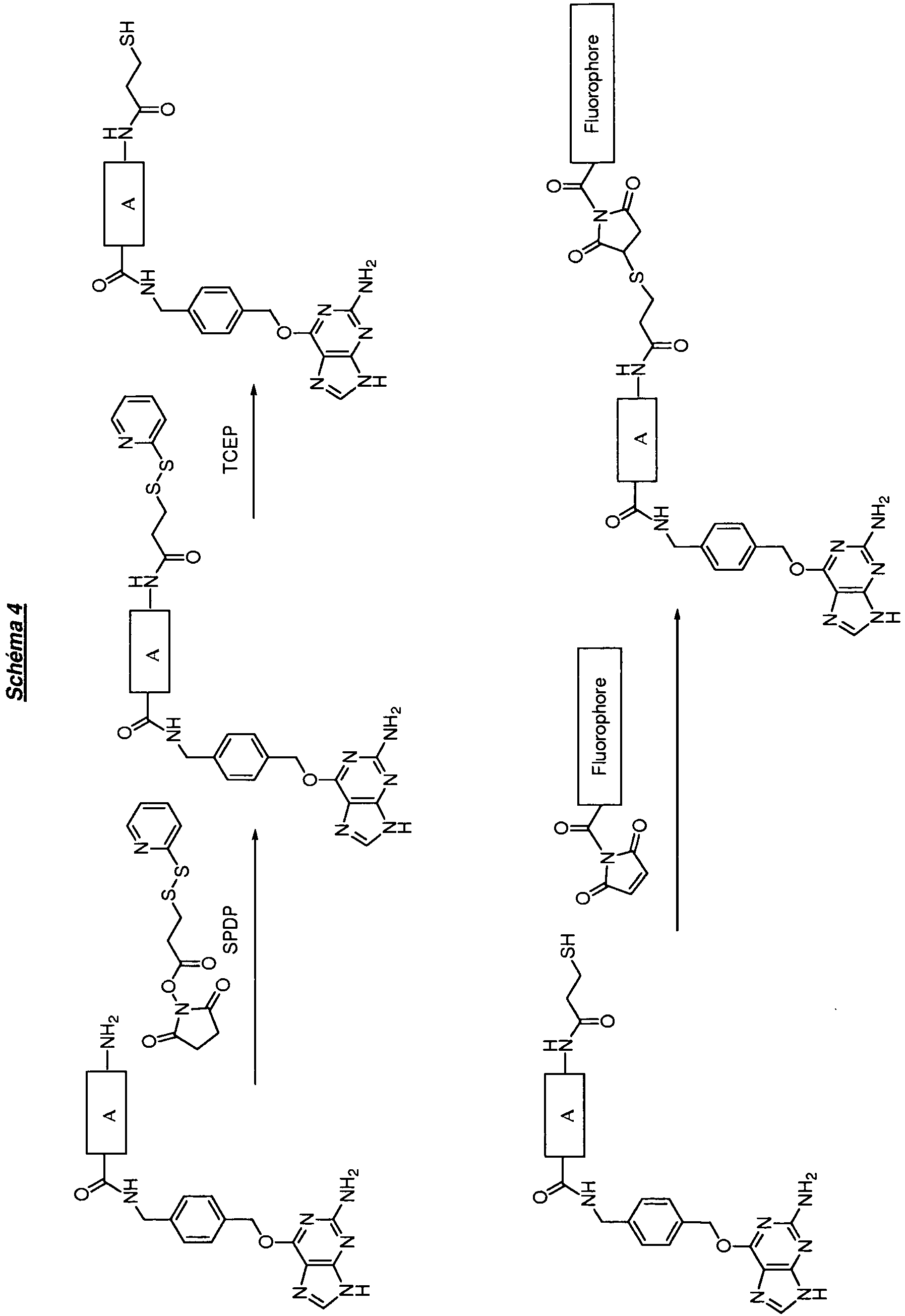 Figure imgb0045