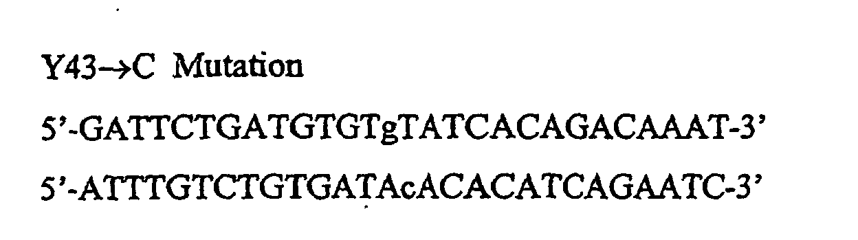 Figure 00560002