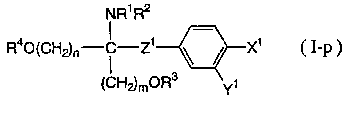 Figure imgb0019