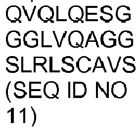 Figure imgb0031