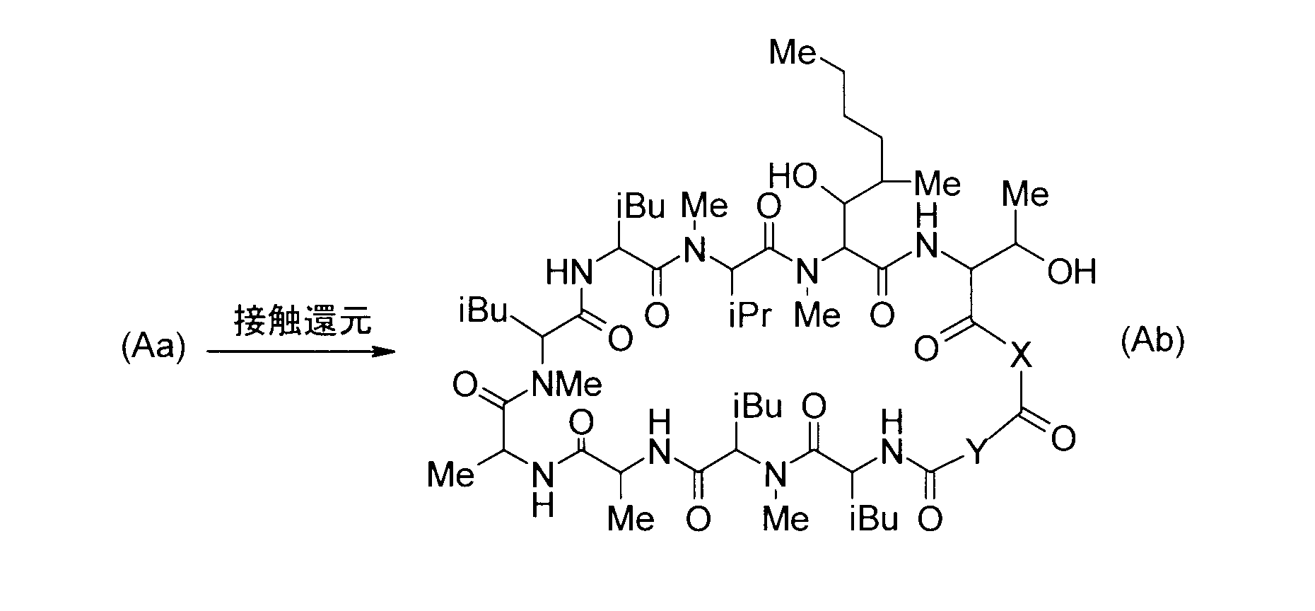 Figure JPOXMLDOC01-appb-C000019