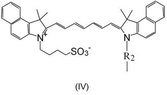 Figure JPOXMLDOC01-appb-C000029