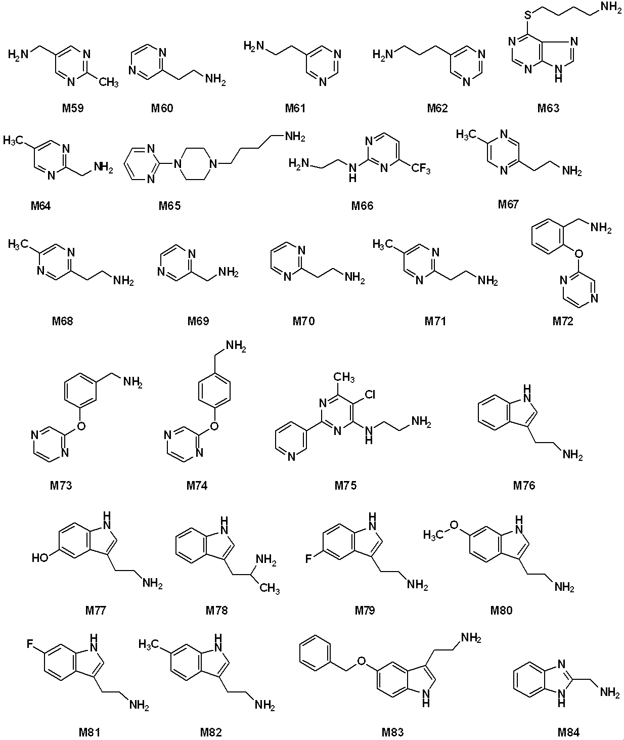 Figure JPOXMLDOC01-appb-C000110