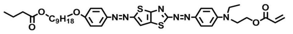 Figure JPOXMLDOC01-appb-C000055