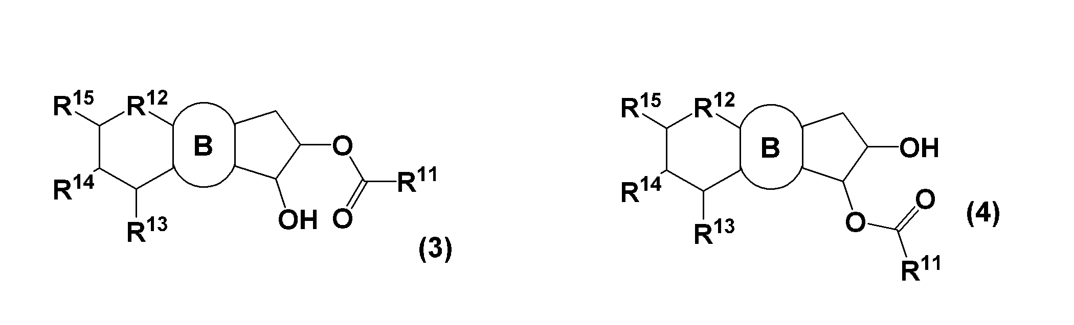 Figure JPOXMLDOC01-appb-C000003