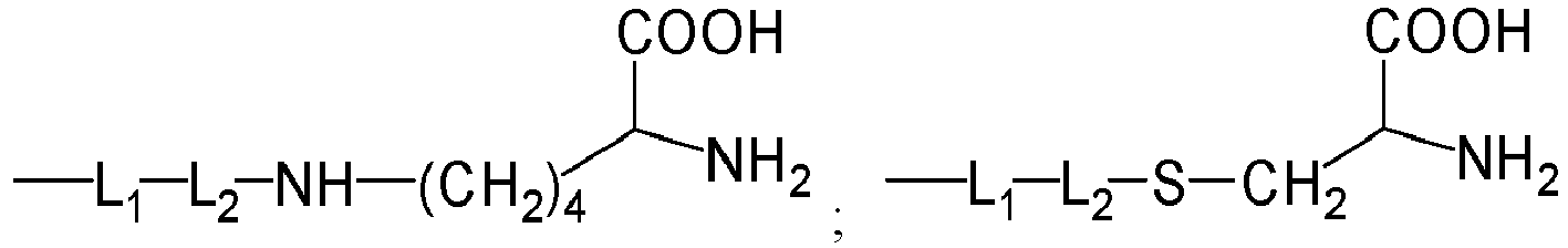 Figure imgb0025