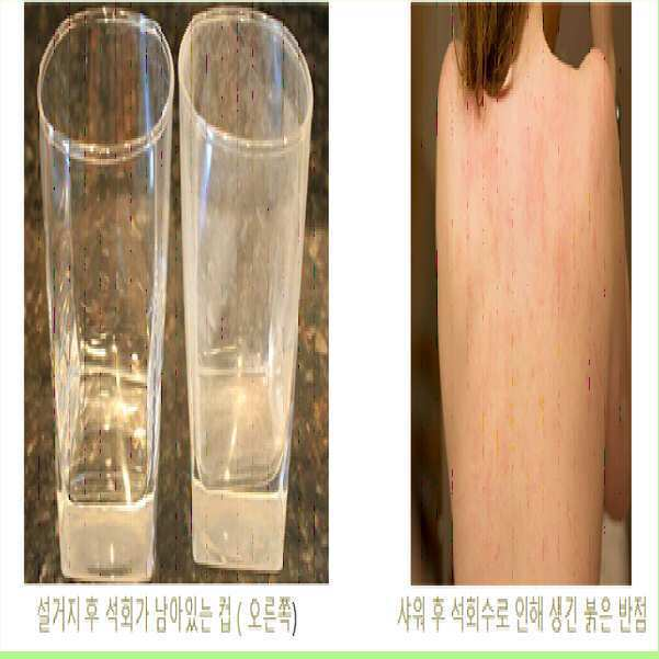 KR20190097747A - 석회수 사용시 잔류 석회로부터 피부를 보호하는 화장료 조성물 및 화장품 - Google Patents