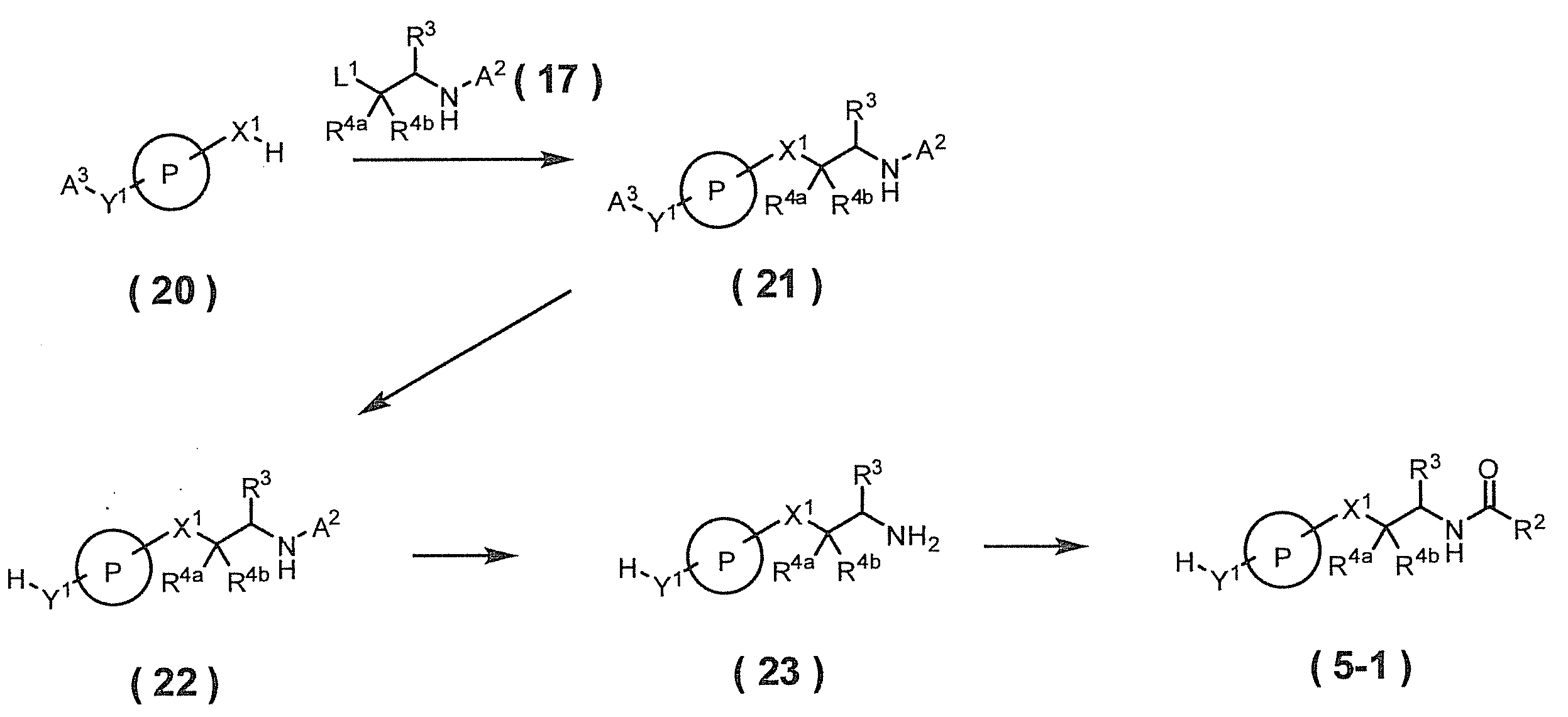 Figure JPOXMLDOC01-appb-C000030