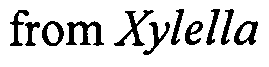 Figure imgf000104_0001