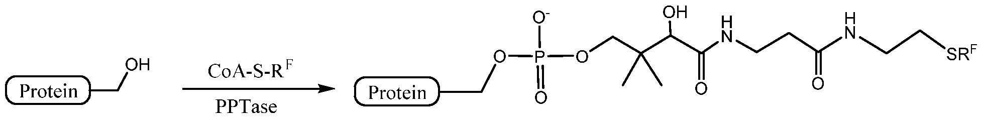 Figure imgf000094_0001