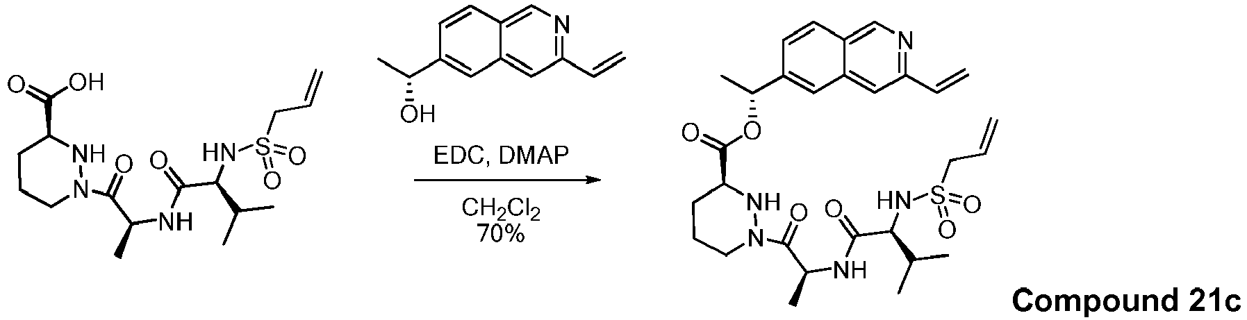 Figure imgb0199