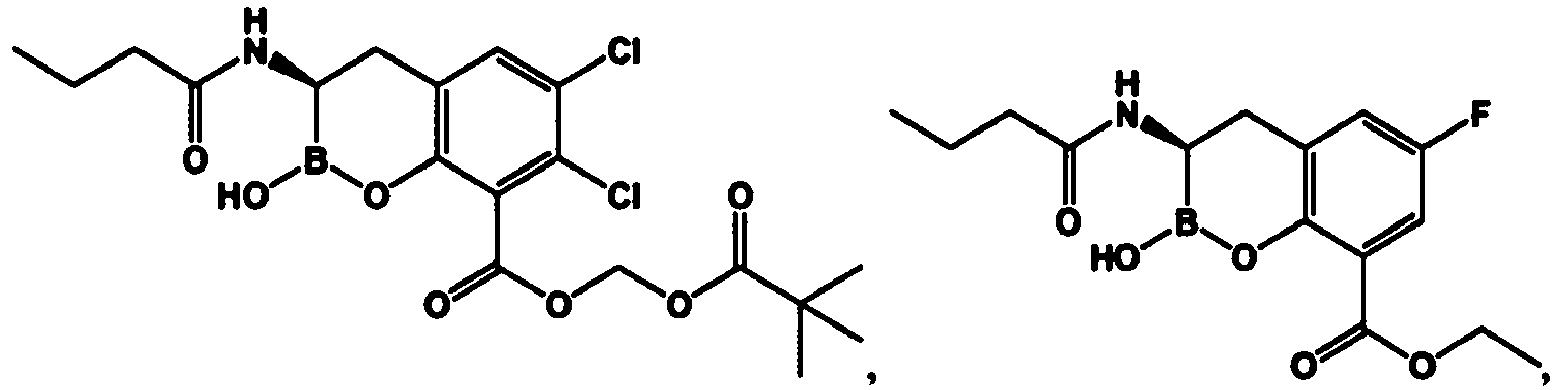 Figure imgb0197