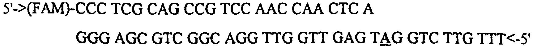 Figure imgb0004