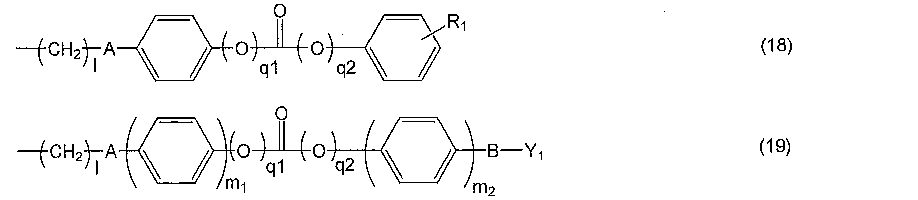 Figure JPOXMLDOC01-appb-C000042