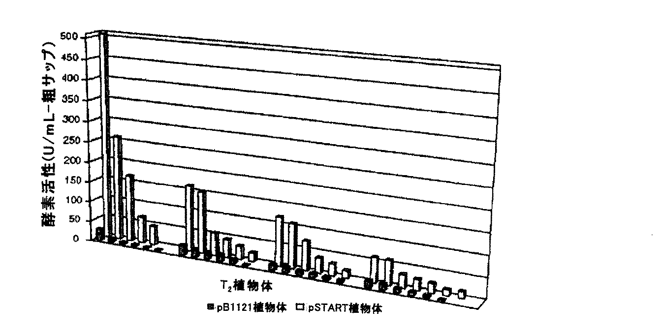 Figure 2010514432