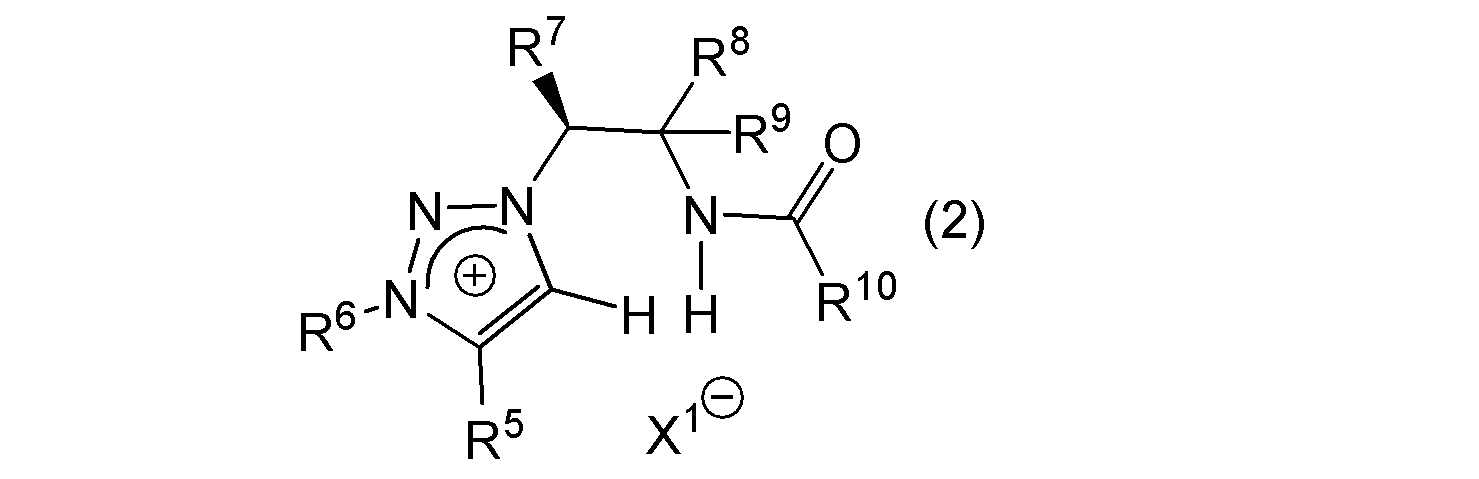 Figure JPOXMLDOC01-appb-C000019
