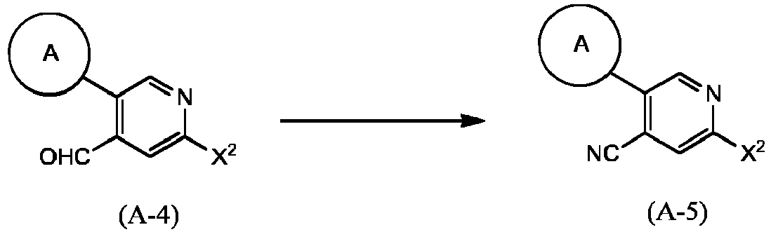 Figure imgb0117