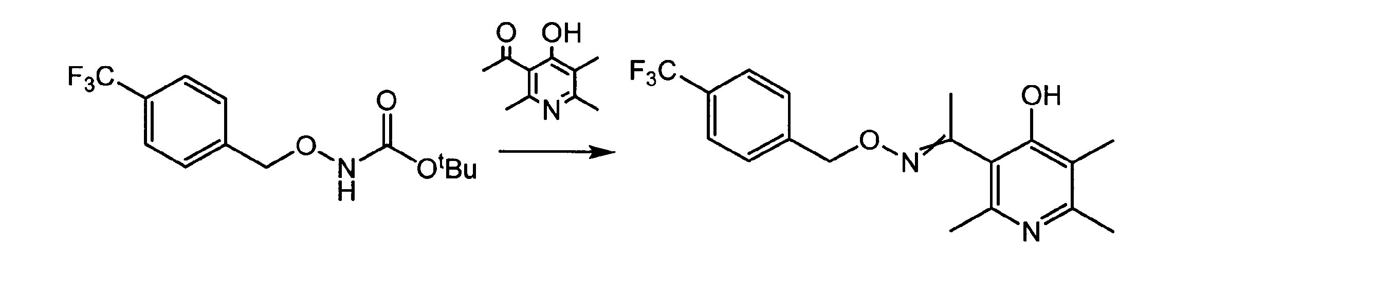 Figure JPOXMLDOC01-appb-C000019