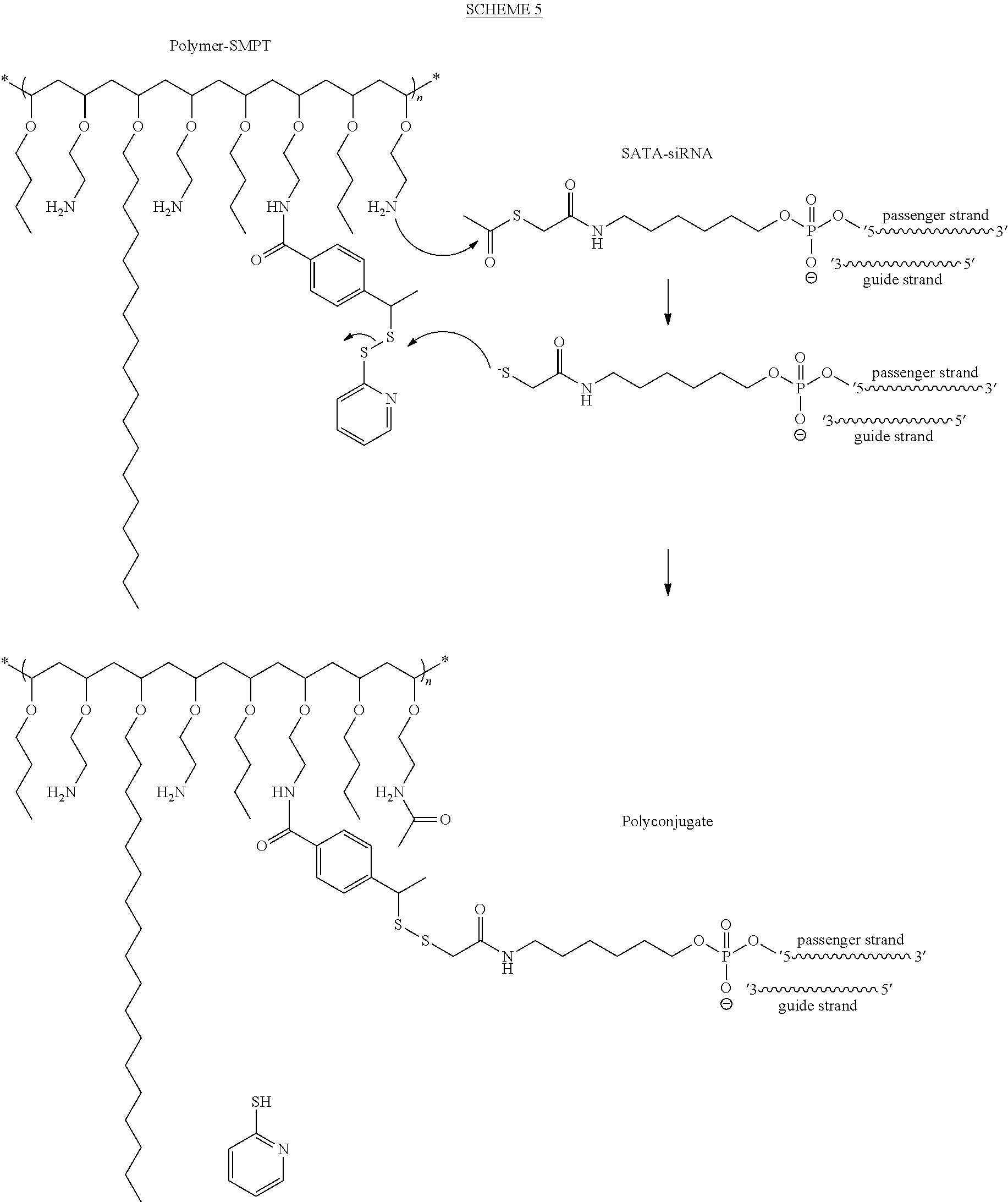 page 18 of 50025034 50025034 user manual e honeywell international inc Array - us9260471b2 rna interference mediated inhibition of gene rh google com