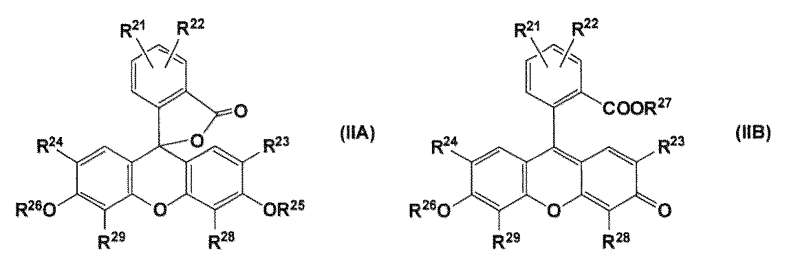 Figure JPOXMLDOC01-appb-C000007