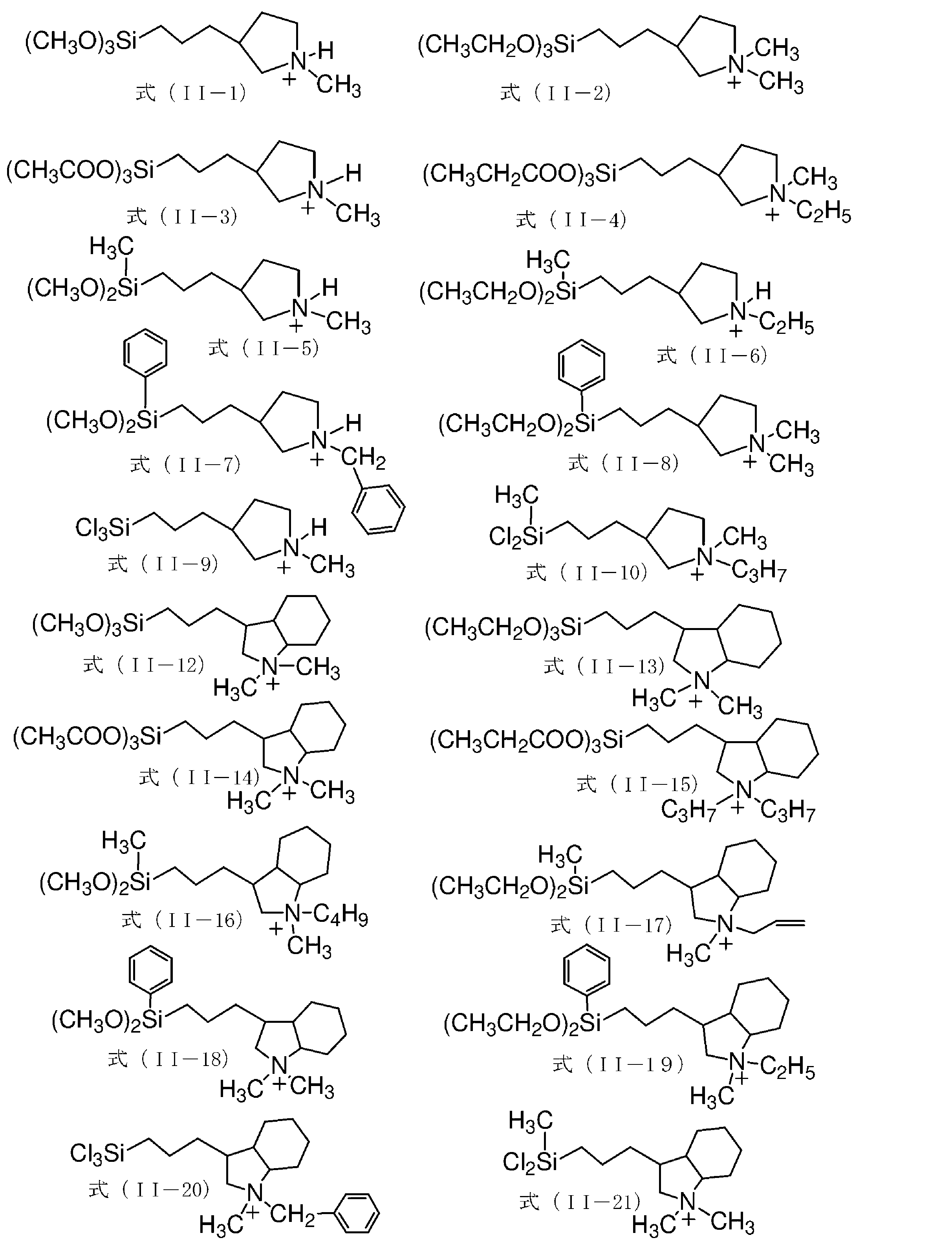 Figure JPOXMLDOC01-appb-C000029