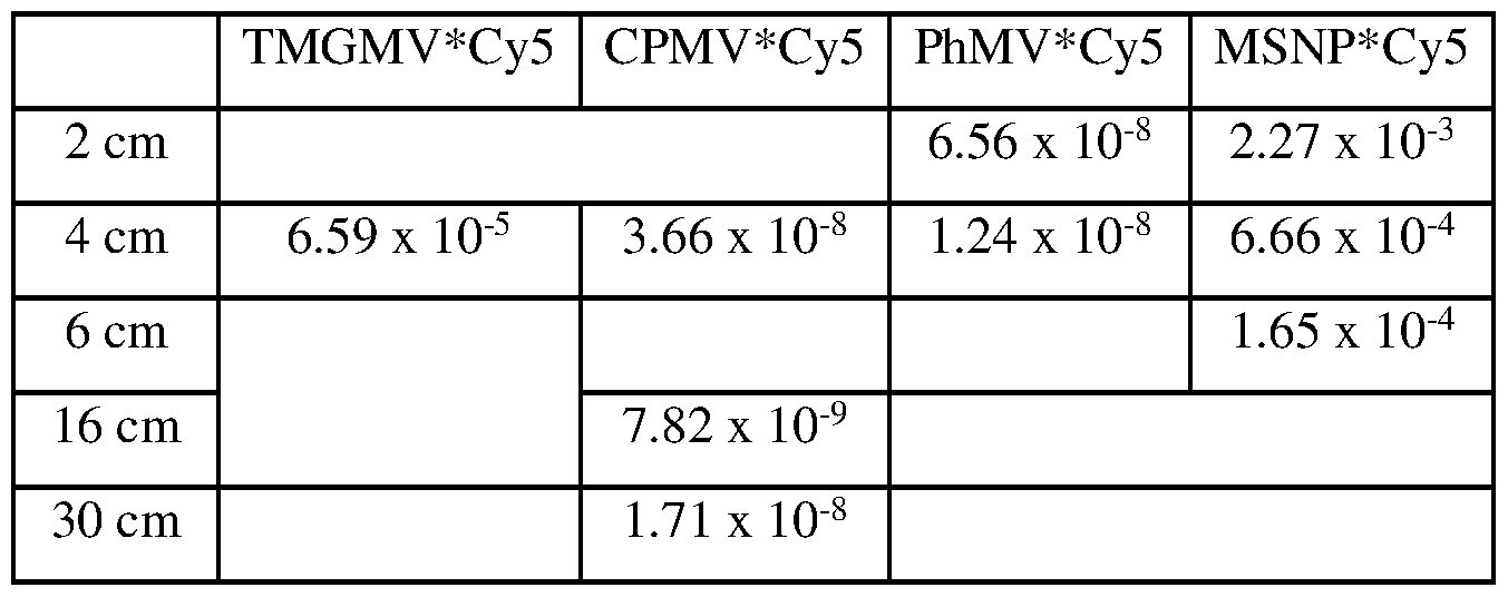 Figure imgf000053_0004