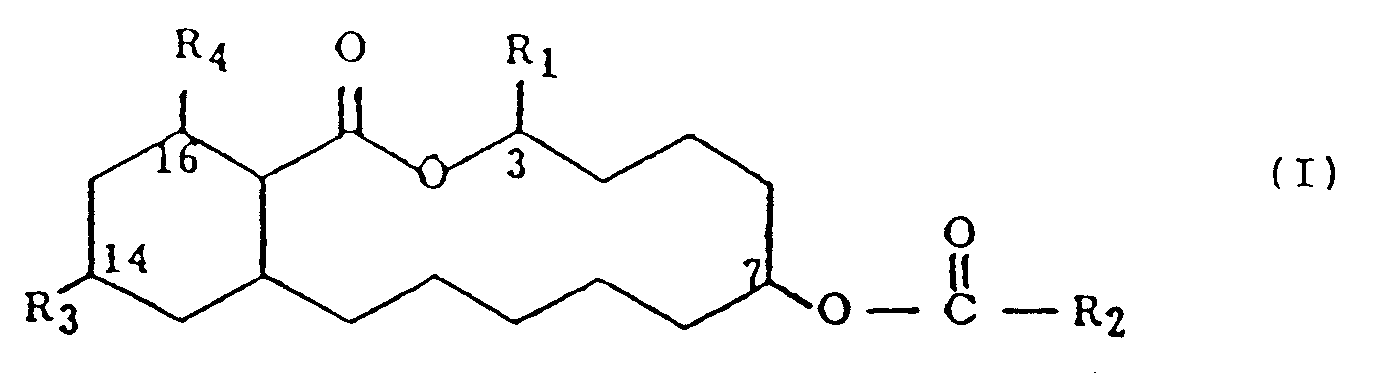 Figure imgb0005