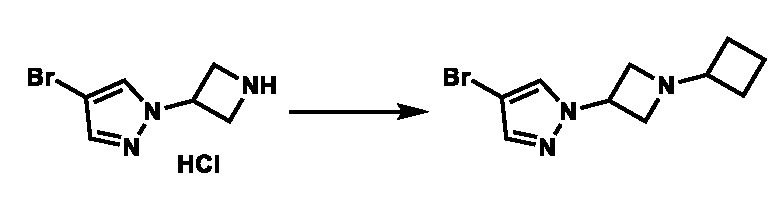 Figure JPOXMLDOC01-appb-C000054