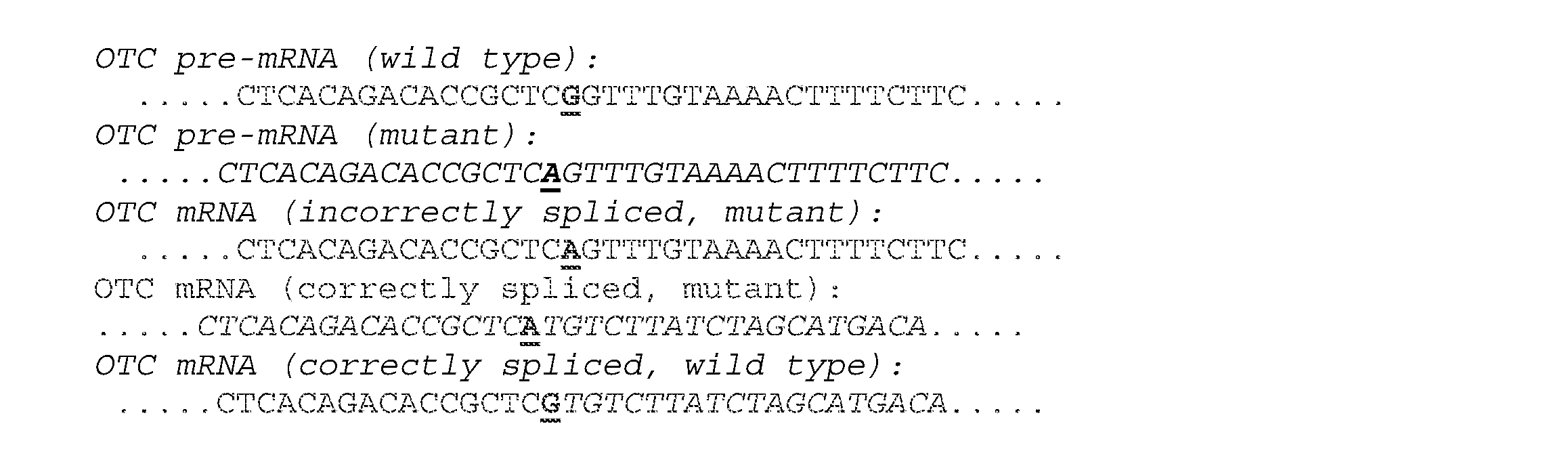 Figure imgf000053_0001